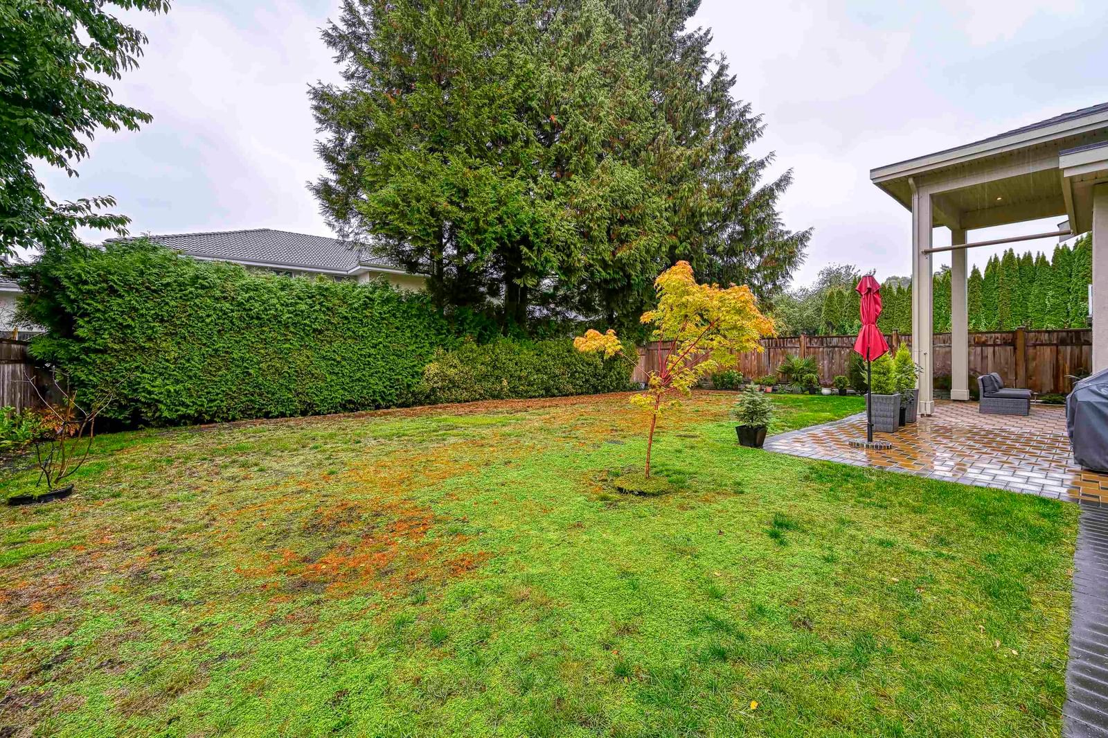 Listing Image 6
