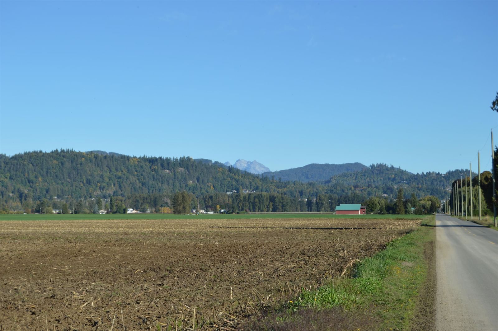 Listing Image 17