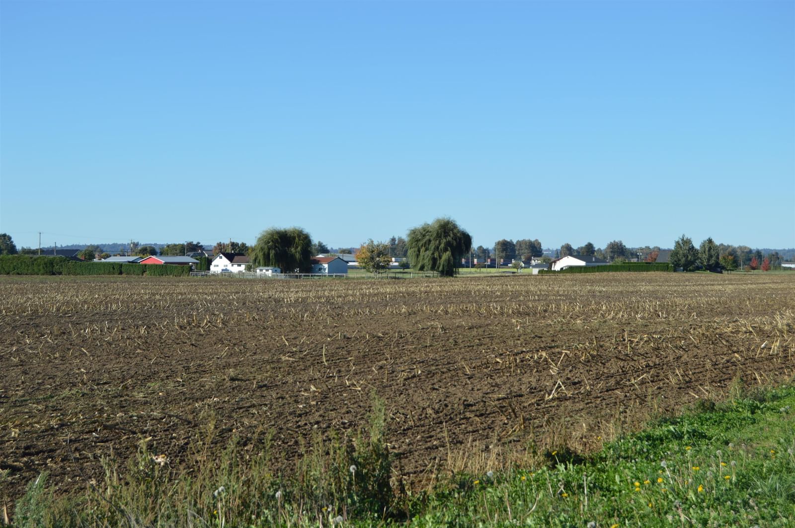 Listing Image 26