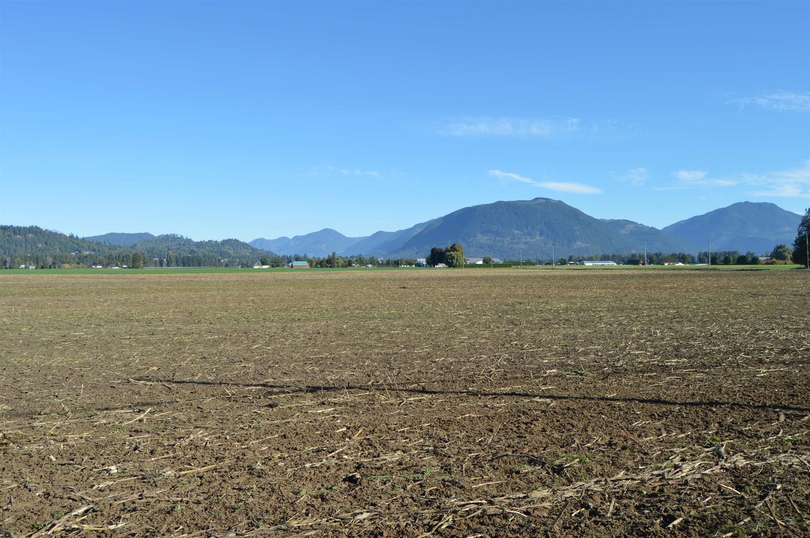 Listing Image 38