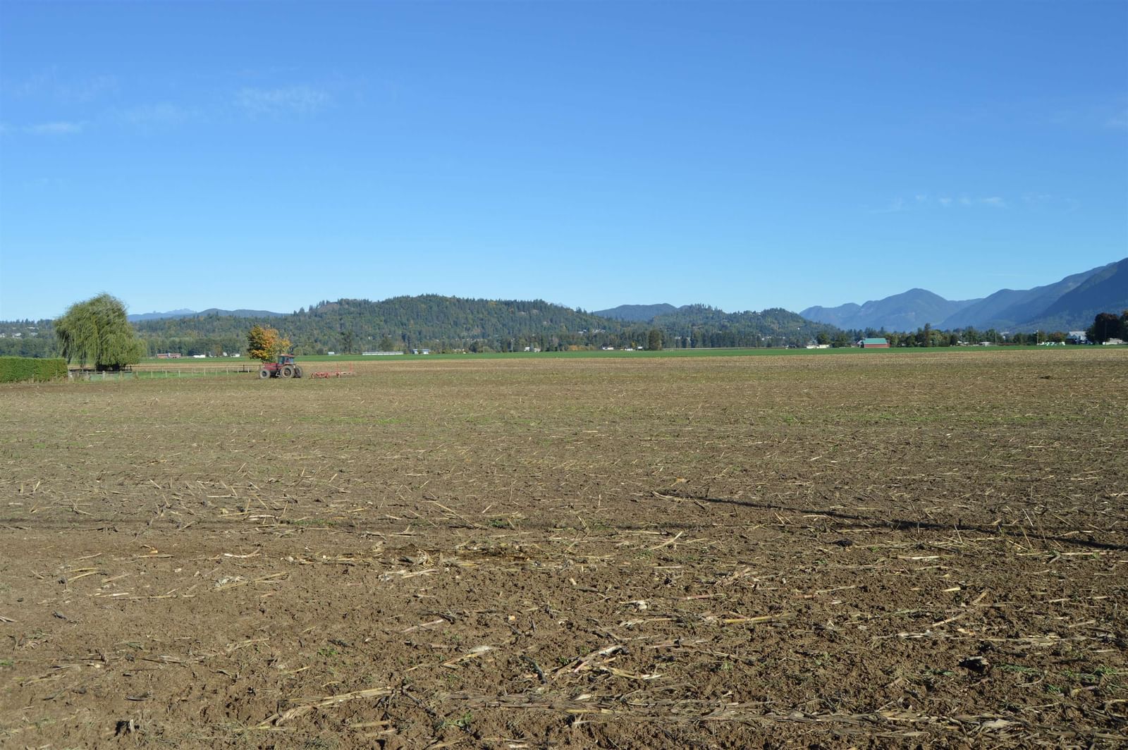Listing Image 39