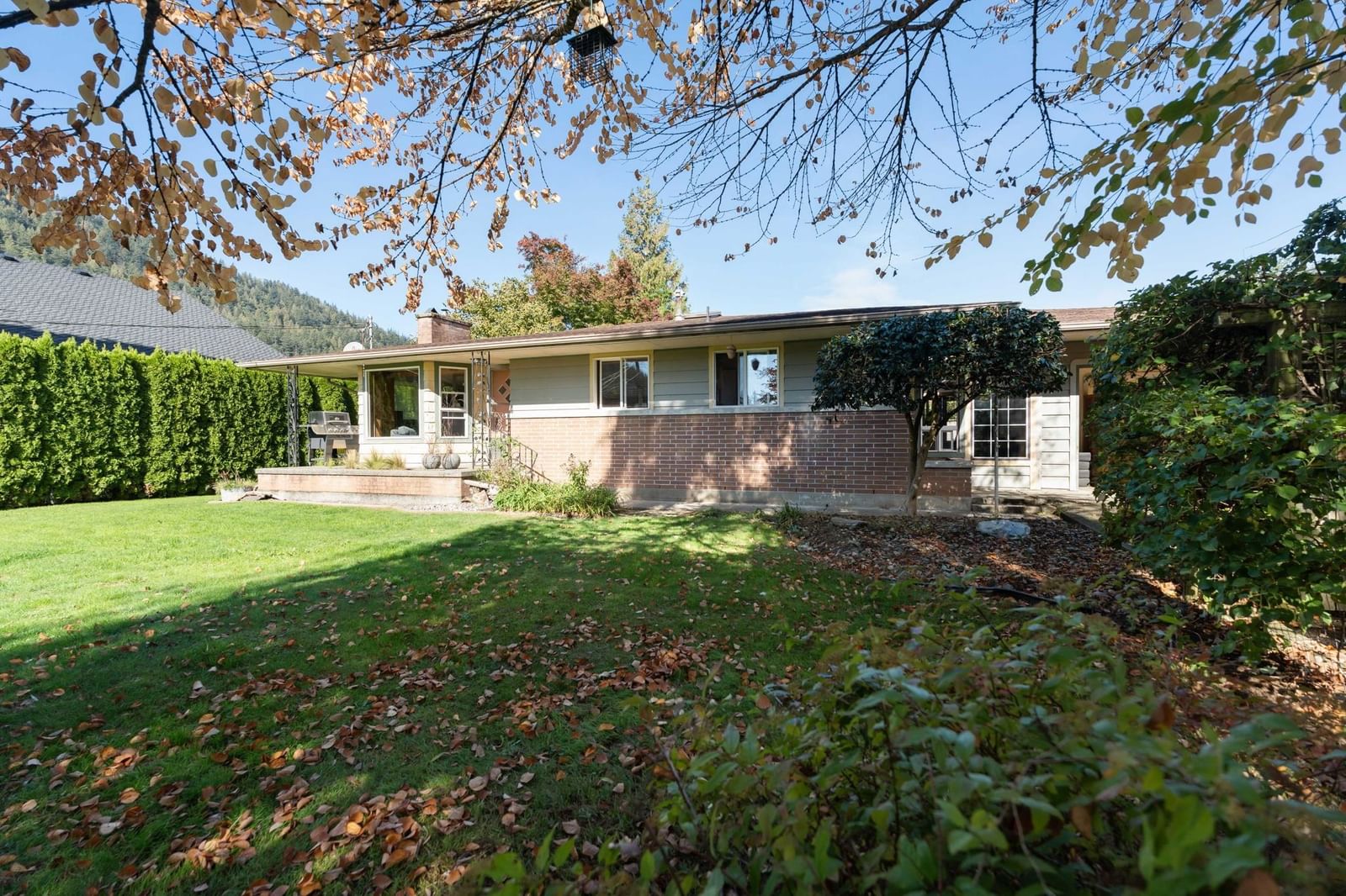 Listing Image 39