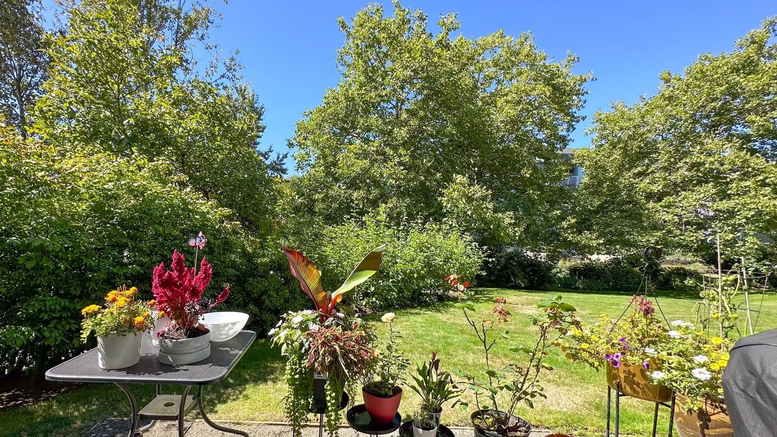 Listing Image 28