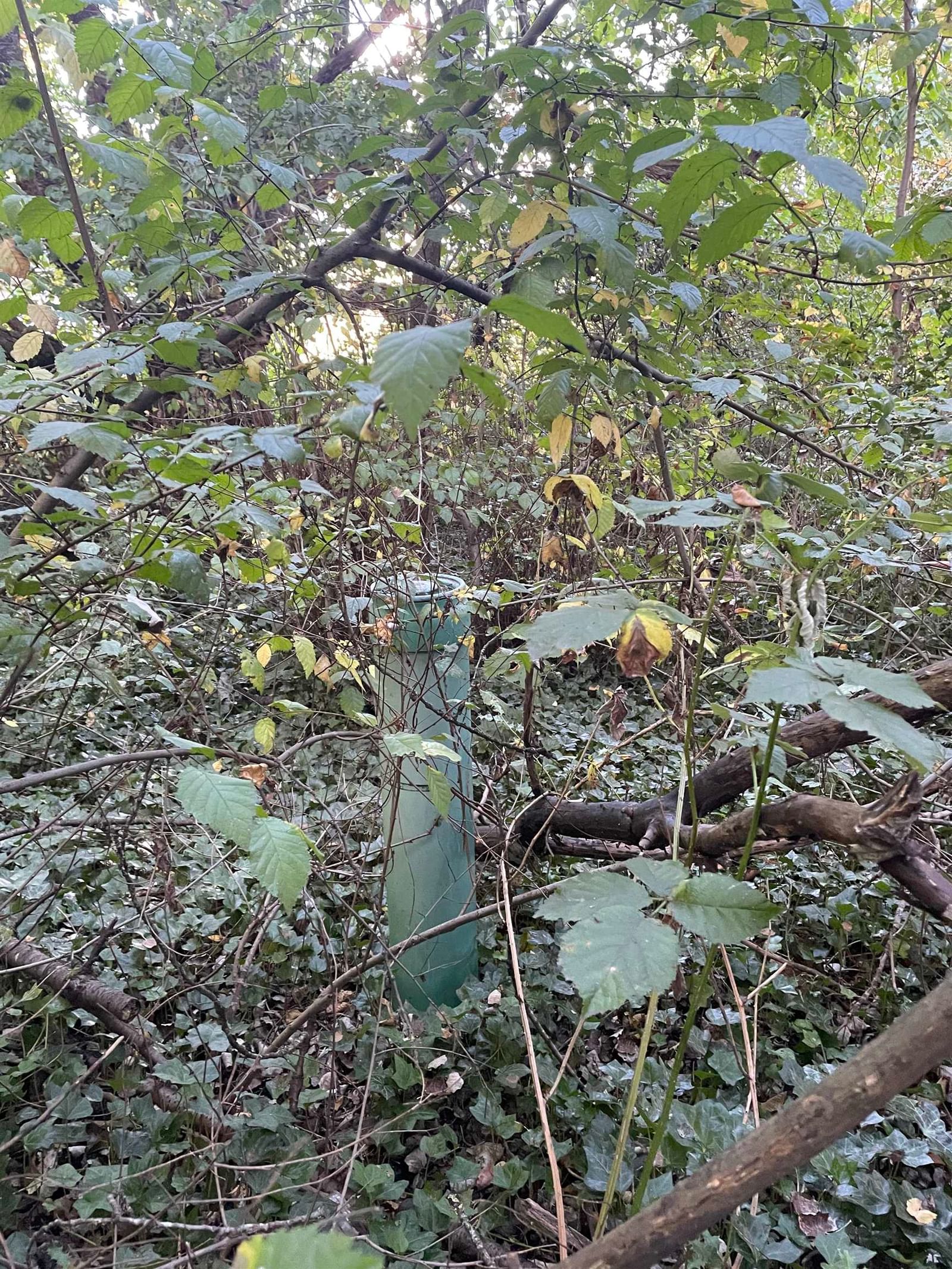Listing Image 5