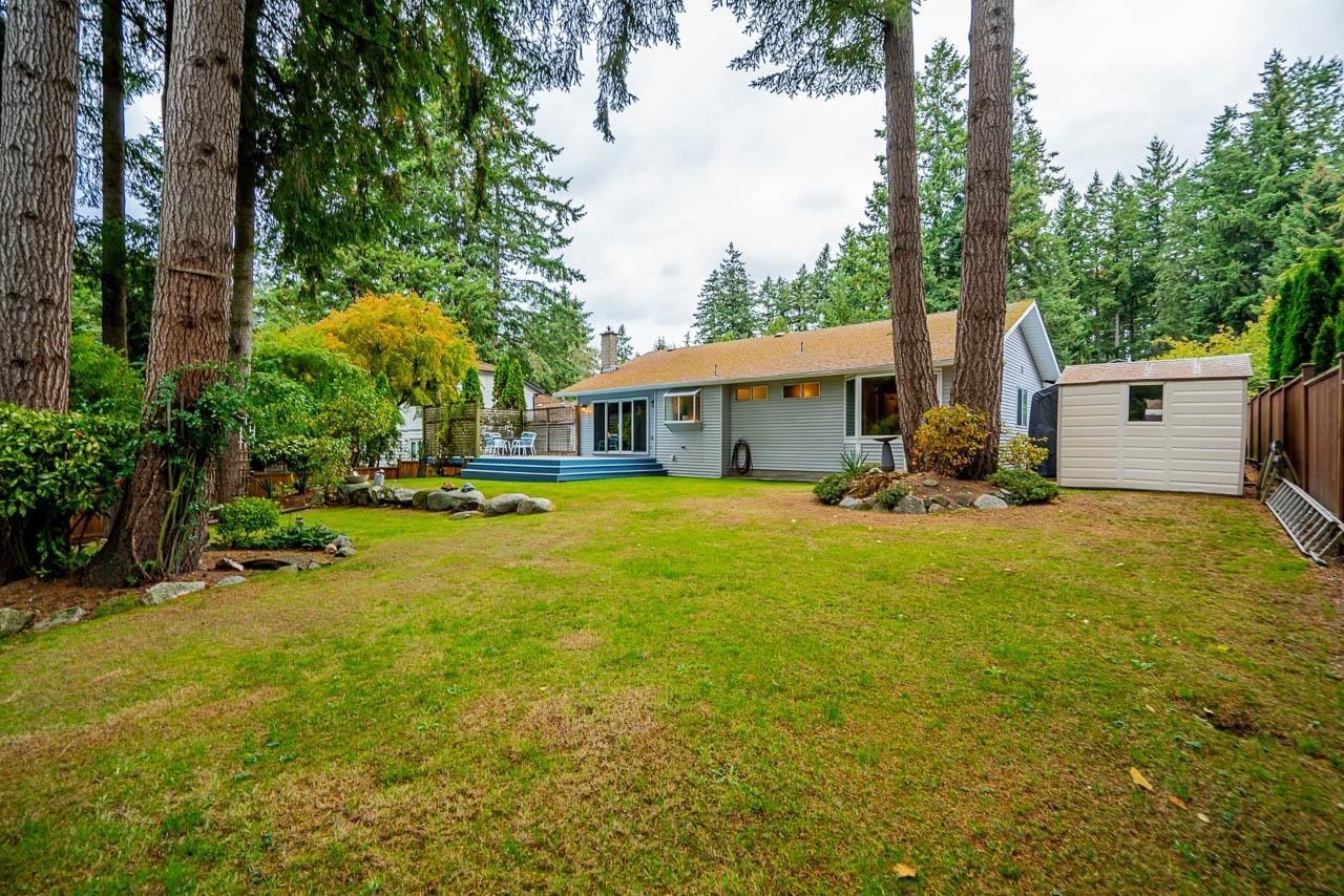 Listing Image 33