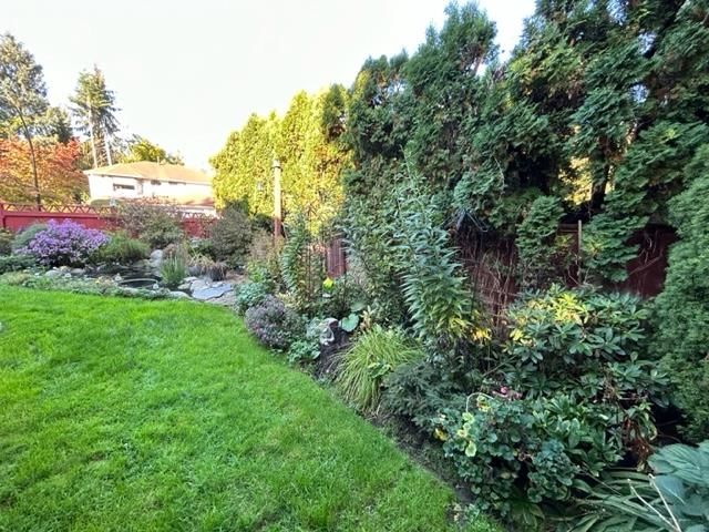 Listing Image 33