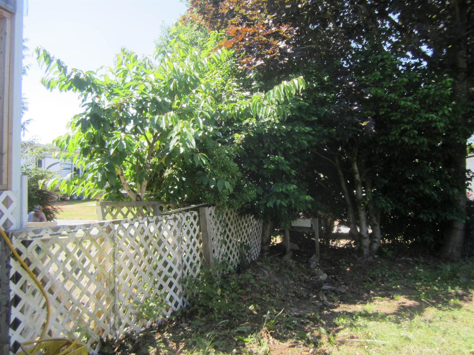 Listing Image 8