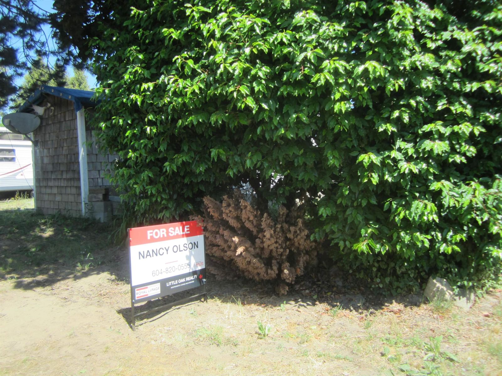 Listing Image 9