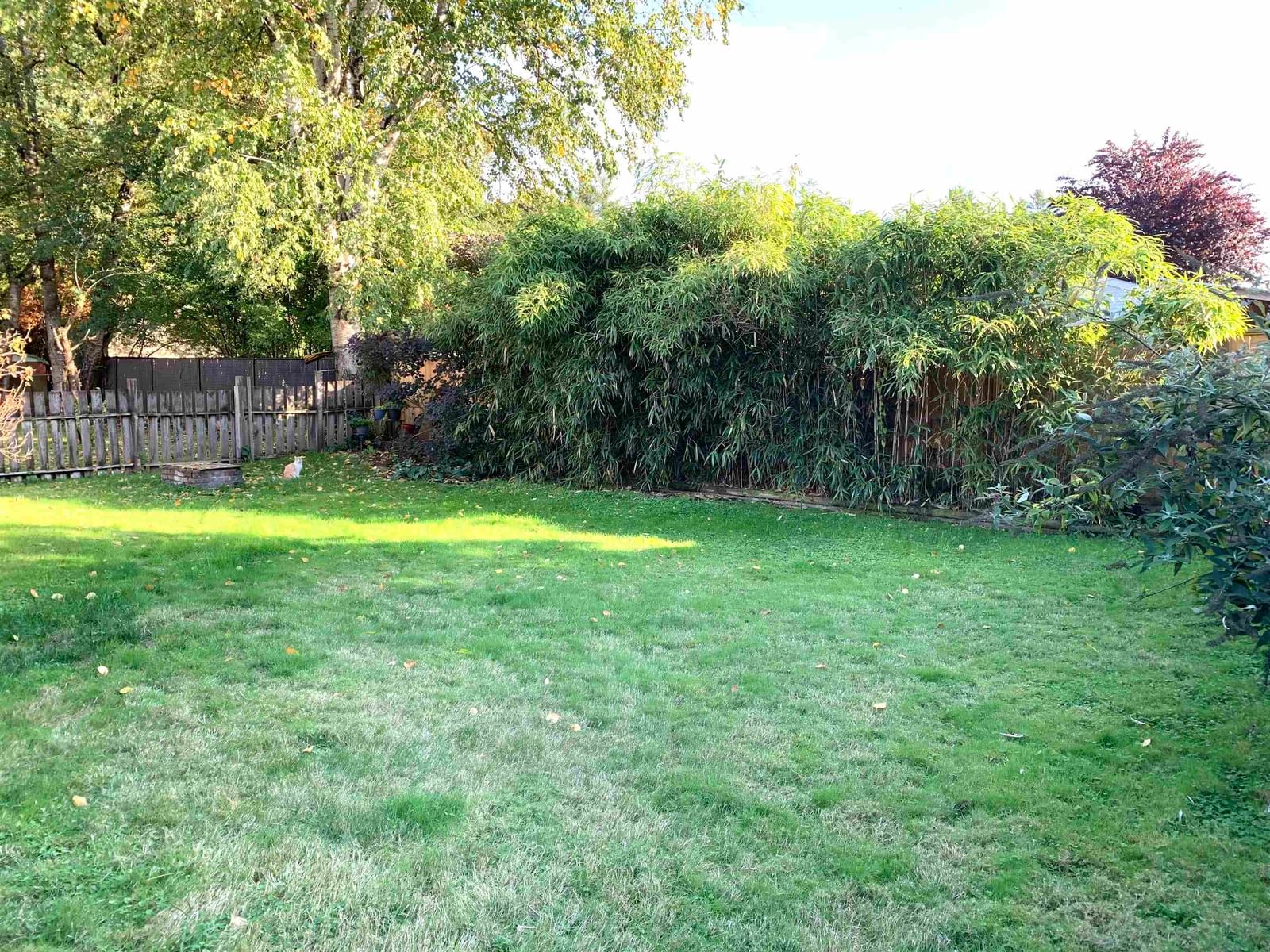 Listing Image 29