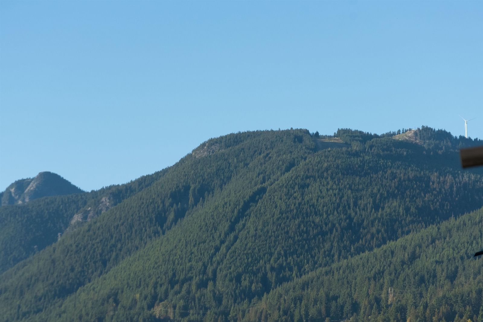 Listing Image 30