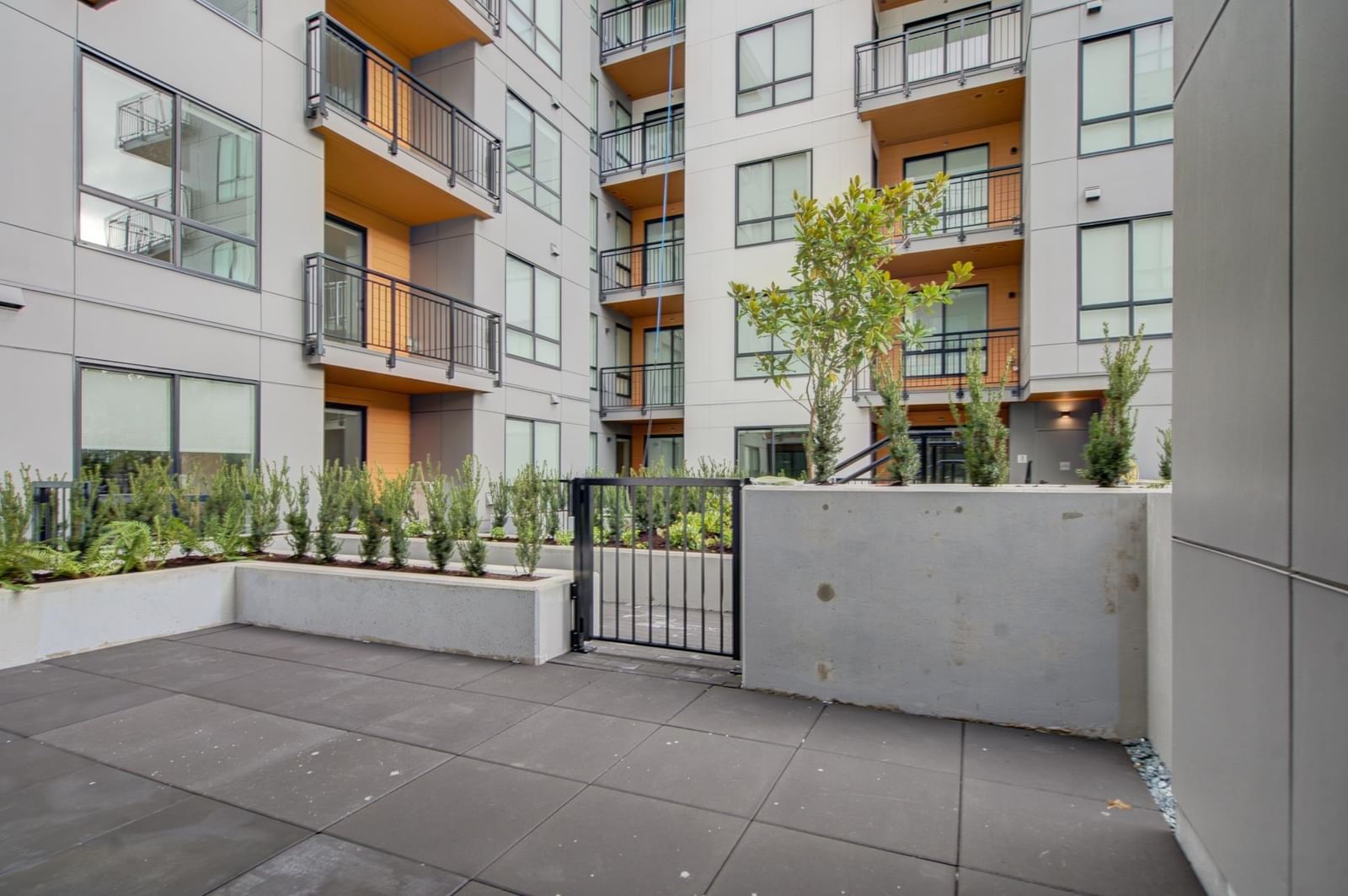 Listing Image 11