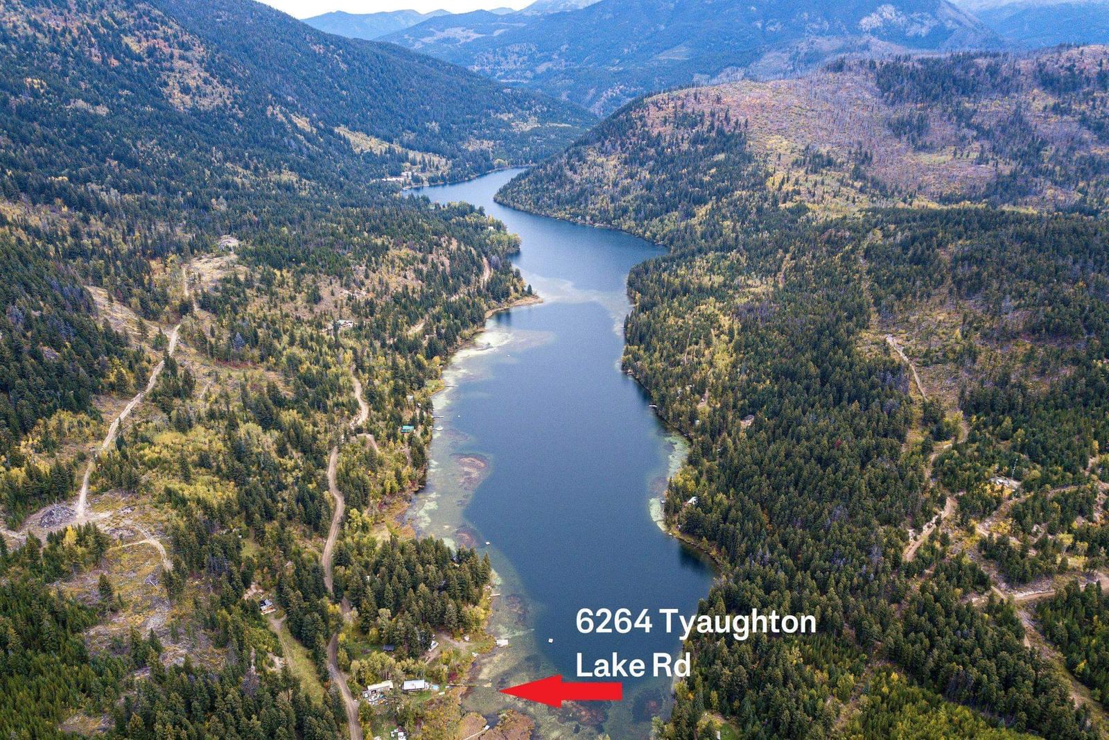 Listing Image 1