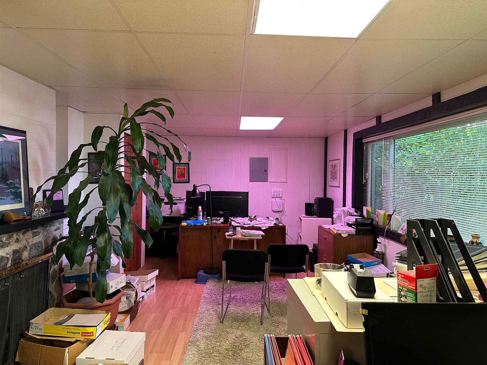 Listing Image 16