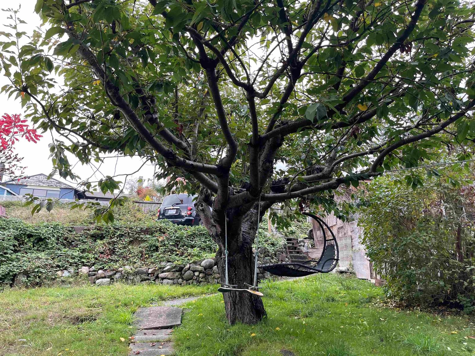Listing Image 18