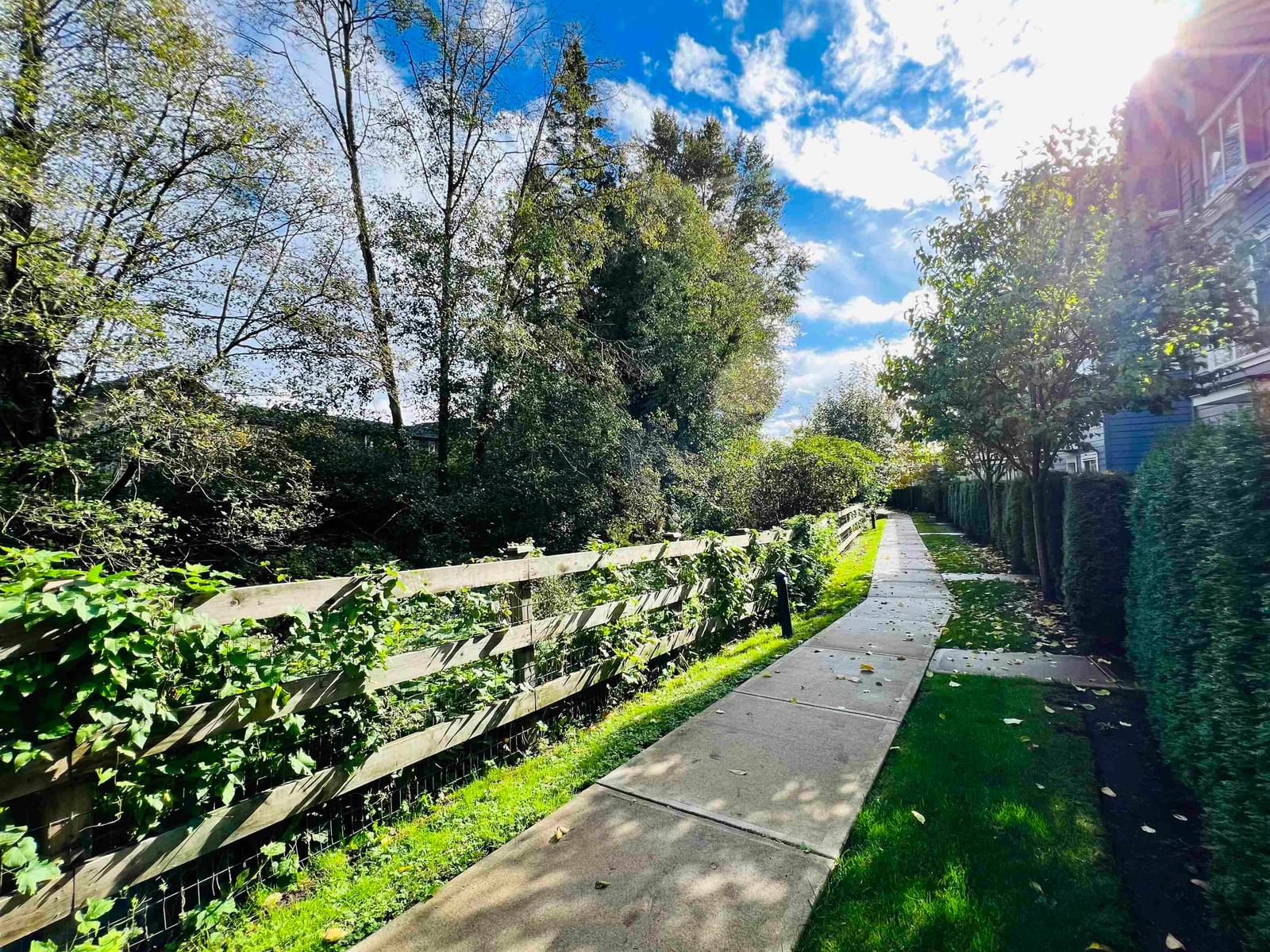 Listing Image 34