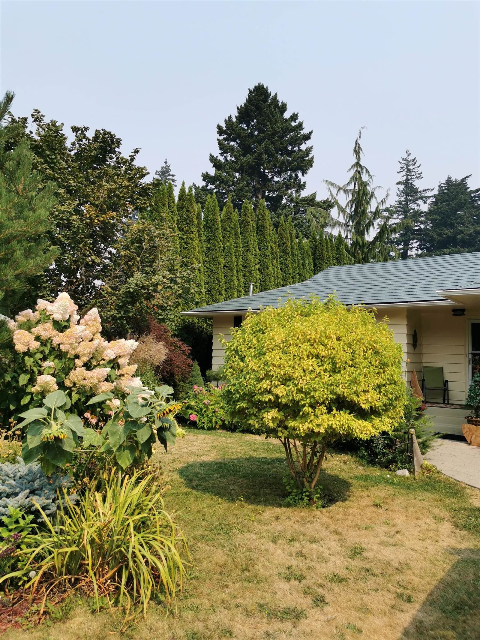 Listing Image 25