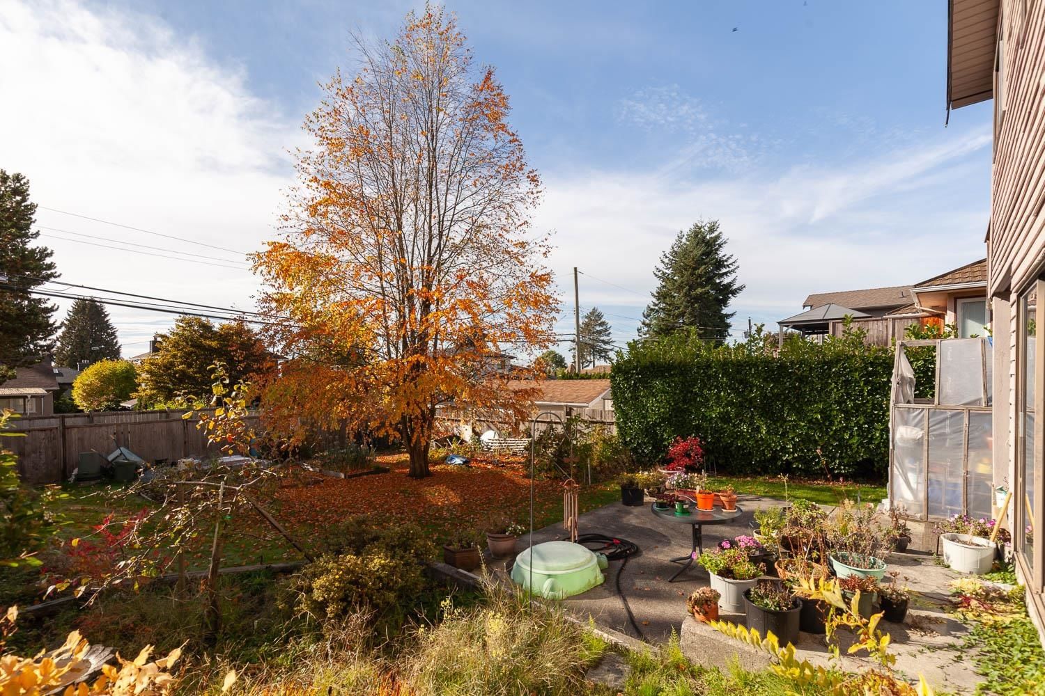 Listing Image 10
