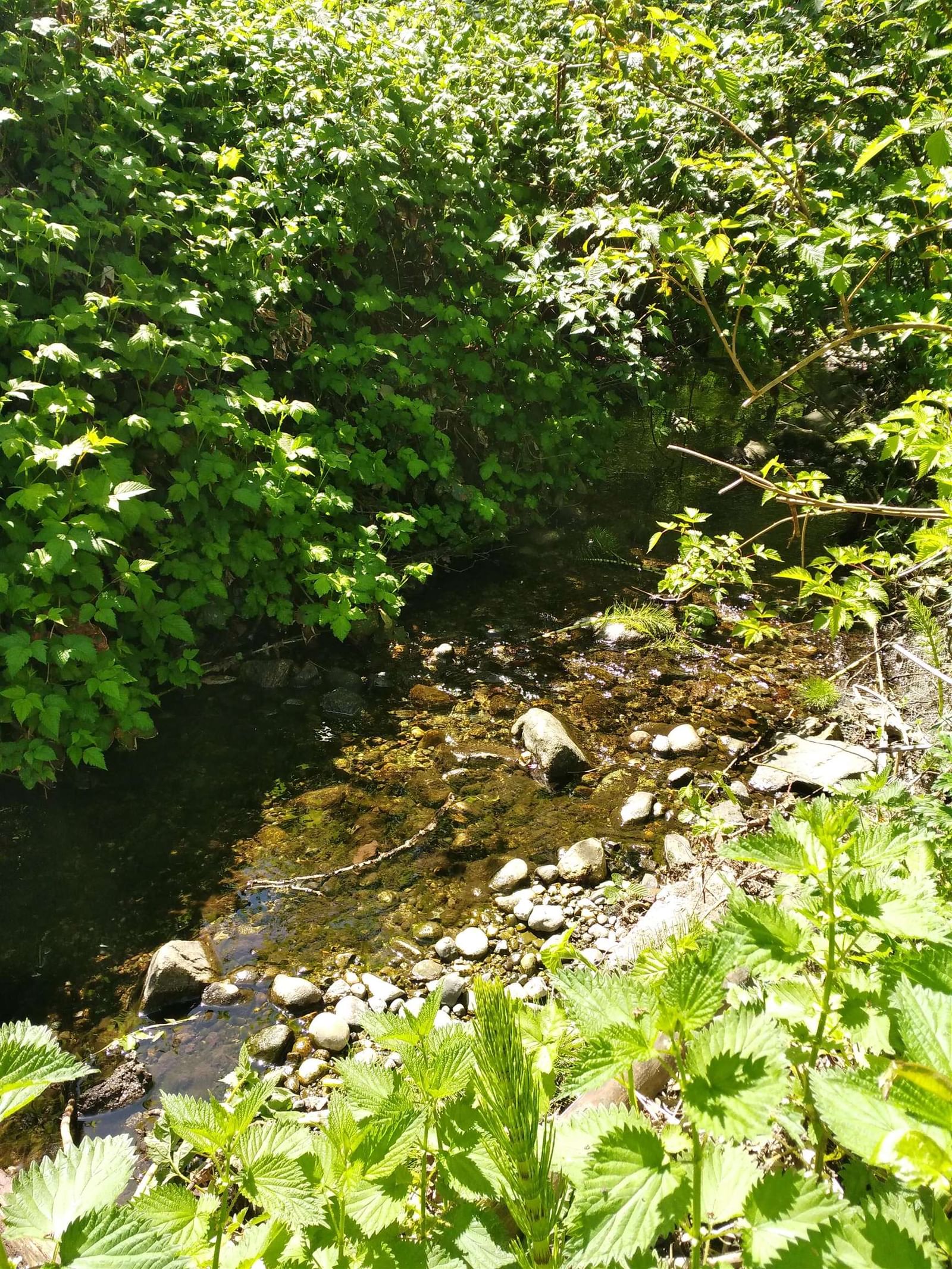 Listing Image 31
