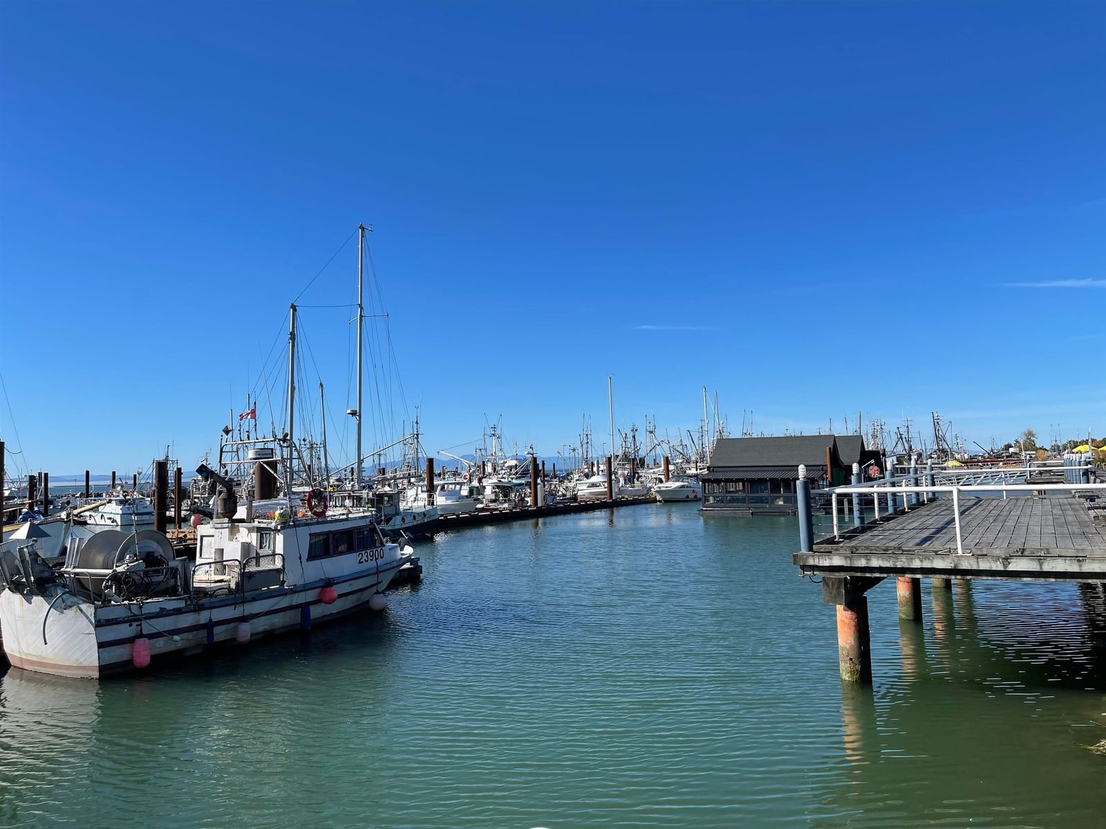 Listing Image 11