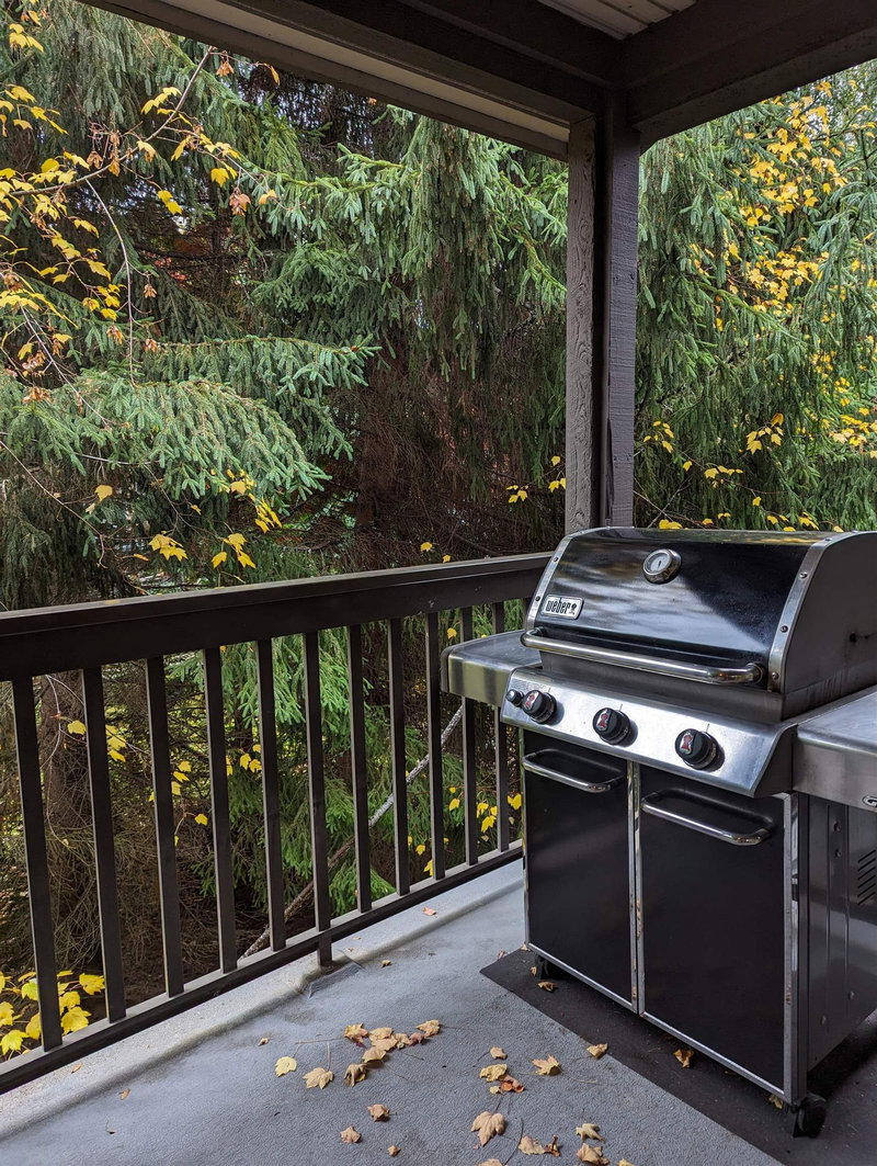 88 - 4355 Northlands Boulevard, Whistler, V8E 1A9 | Image 3