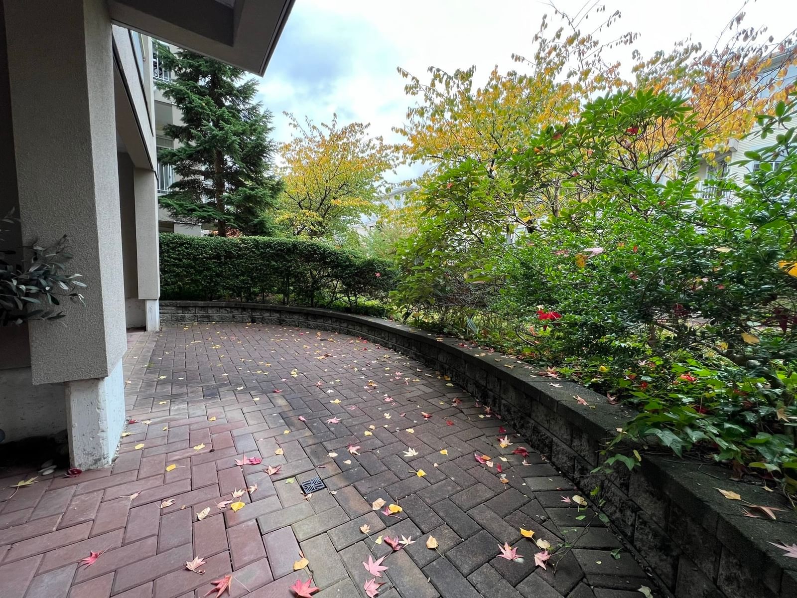 Listing Image 10
