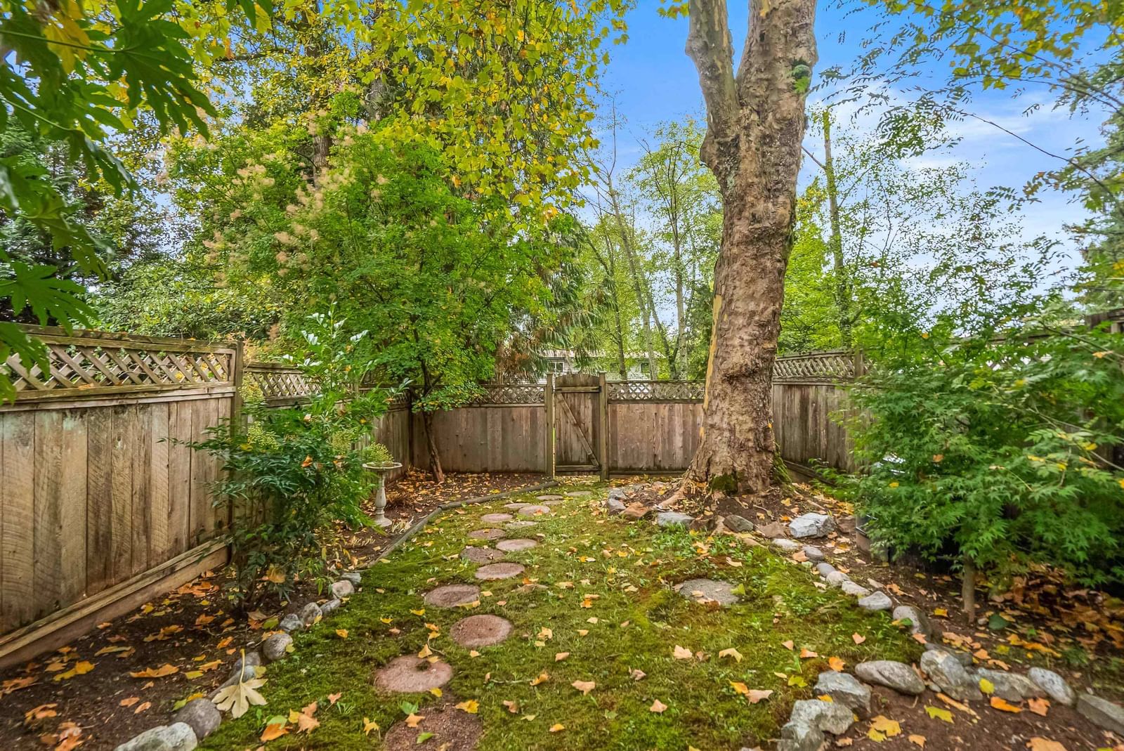 Listing Image 24