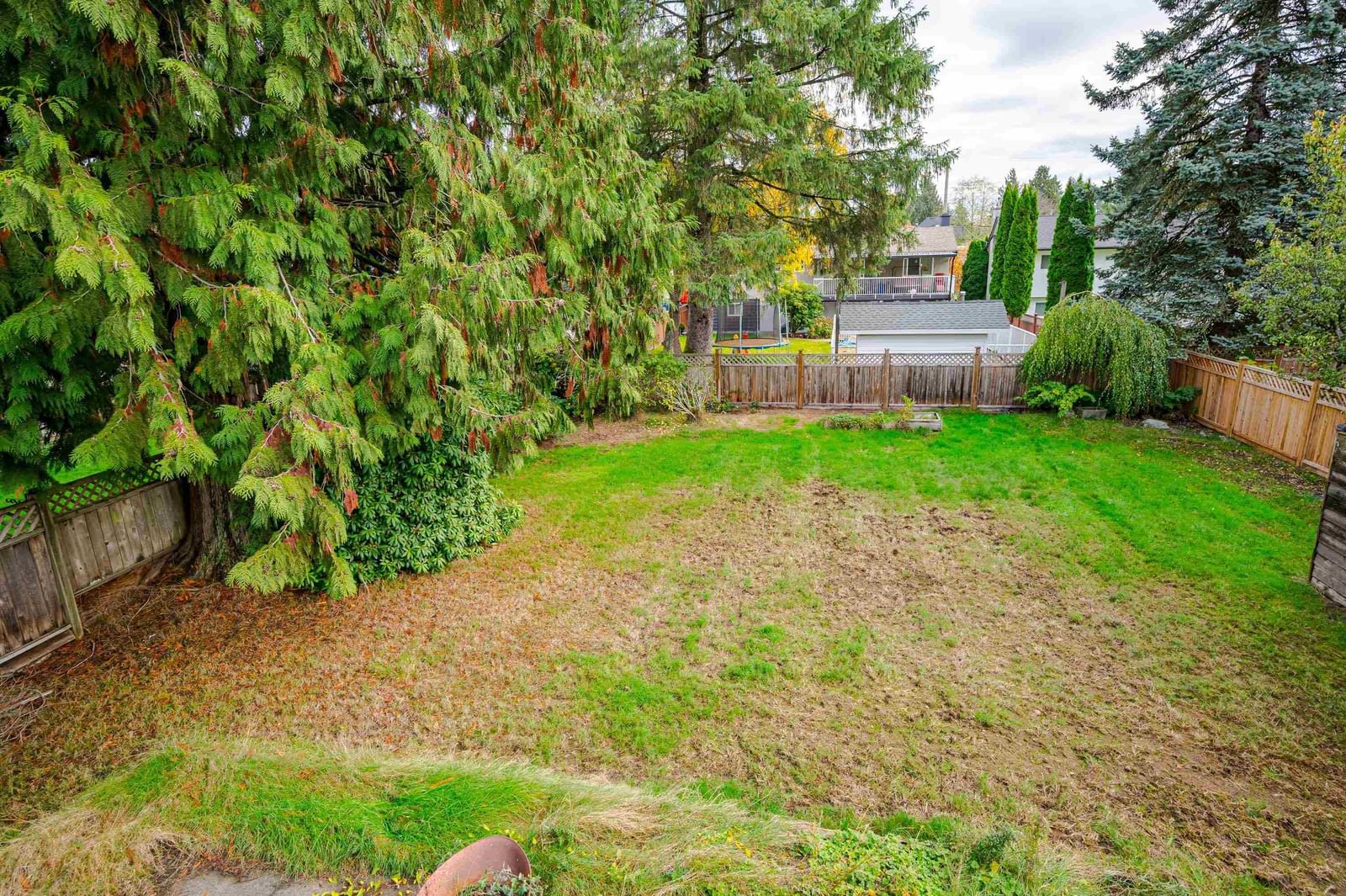 Listing Image 20