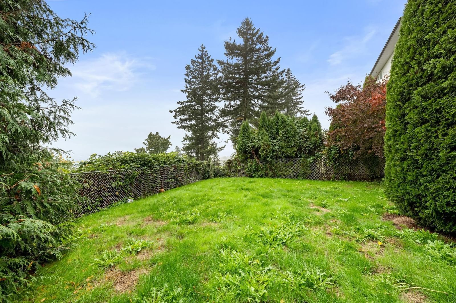 Listing Image 36