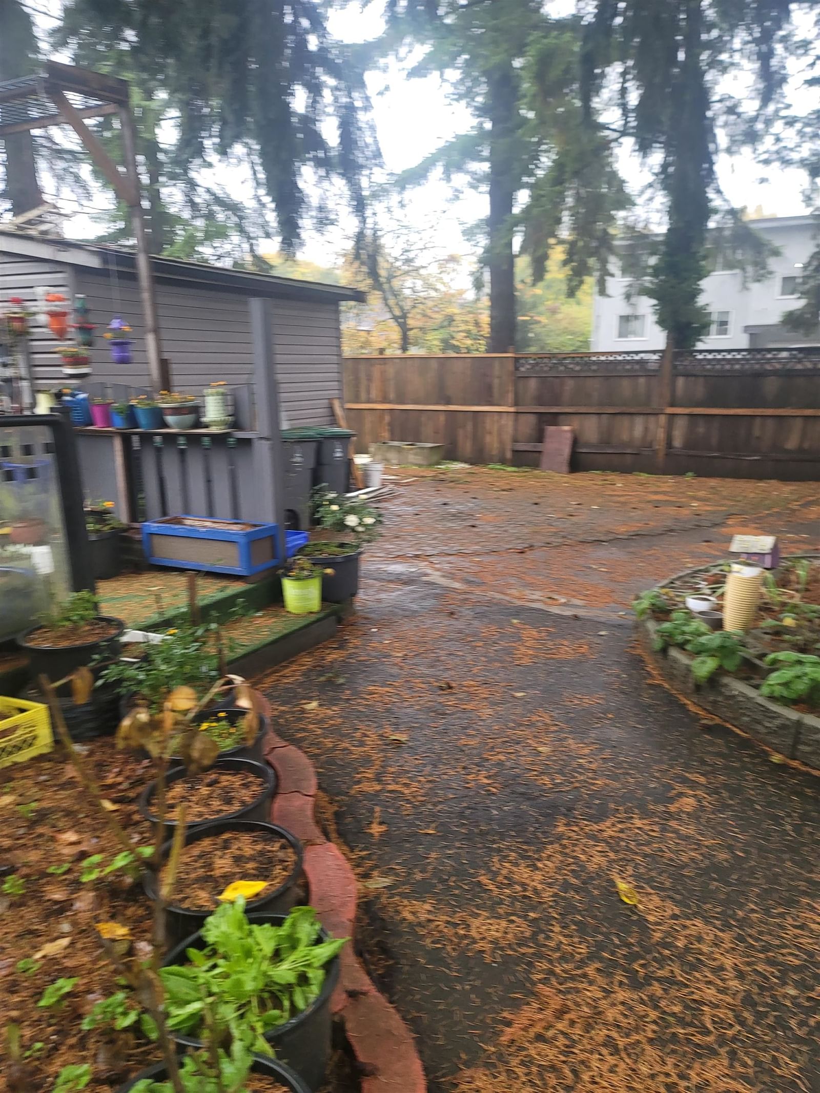 Listing Image 6