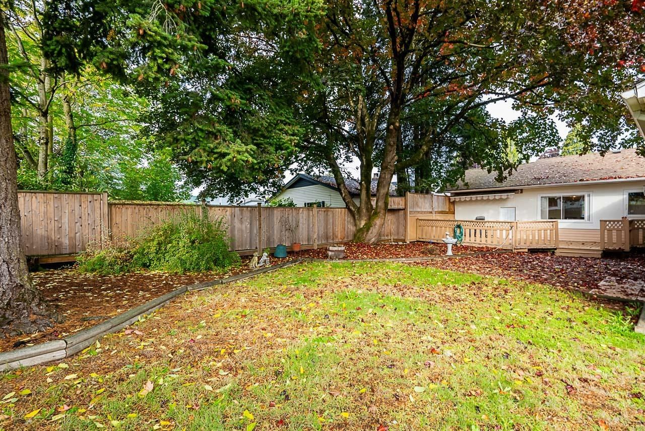 Listing Image 20