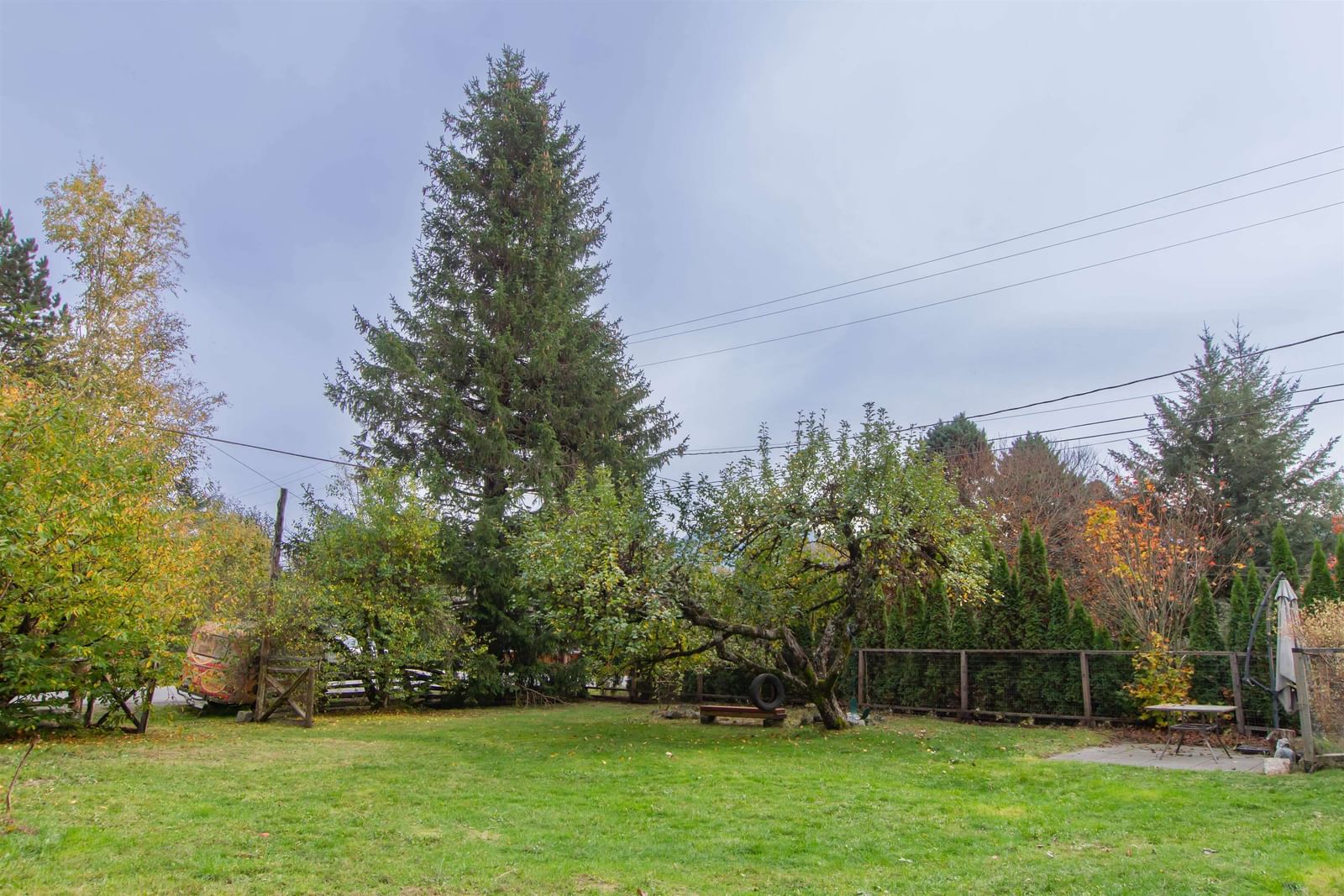 Listing Image 38