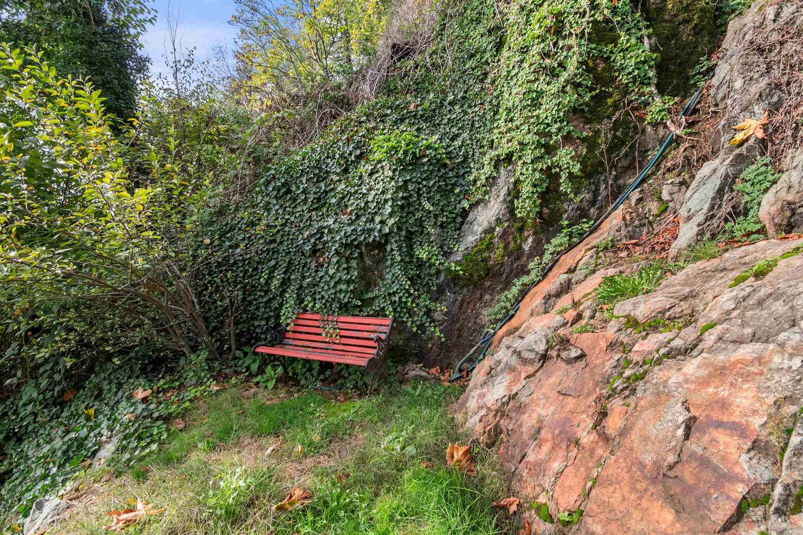 Listing Image 28