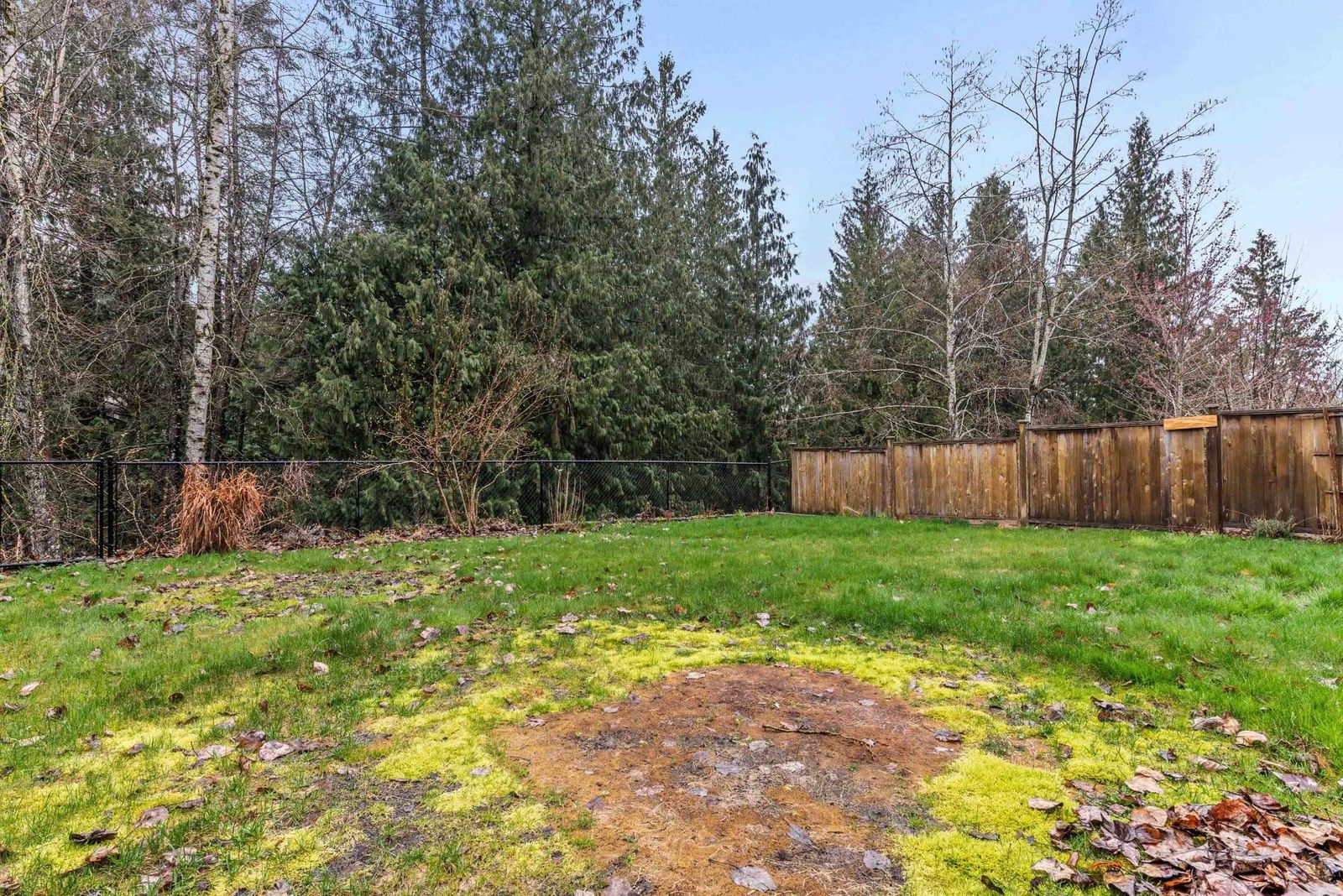 Listing Image 38