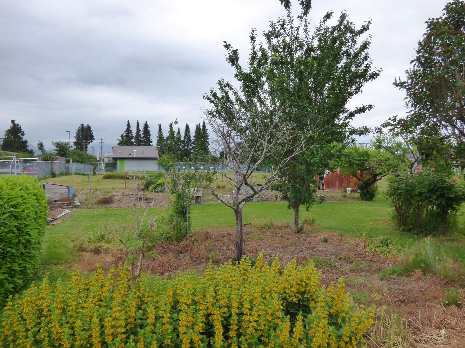 Listing Image 24