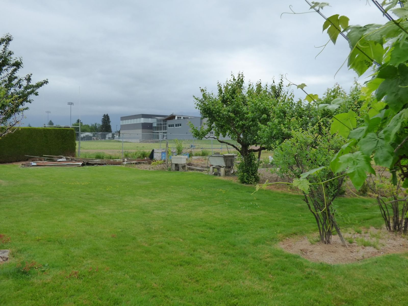 Listing Image 26