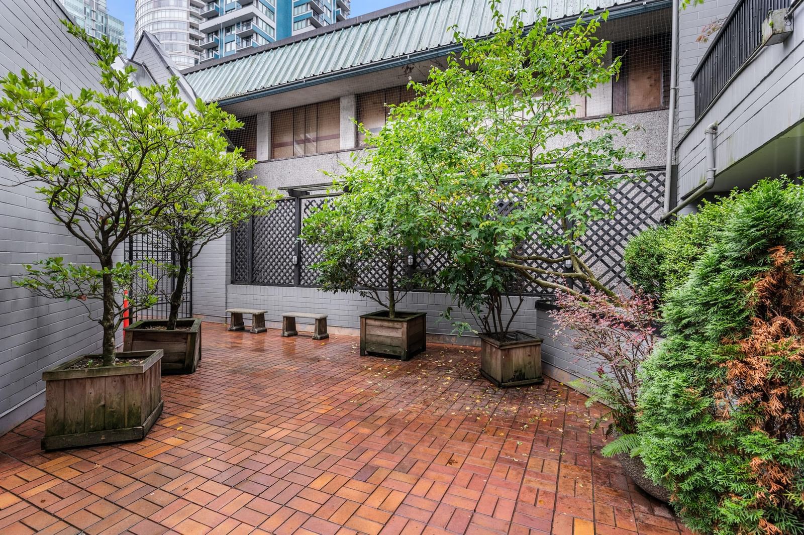 Listing Image 21