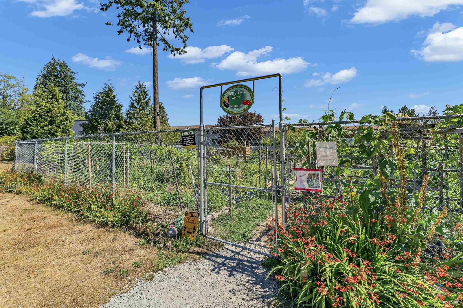 Listing Image 14