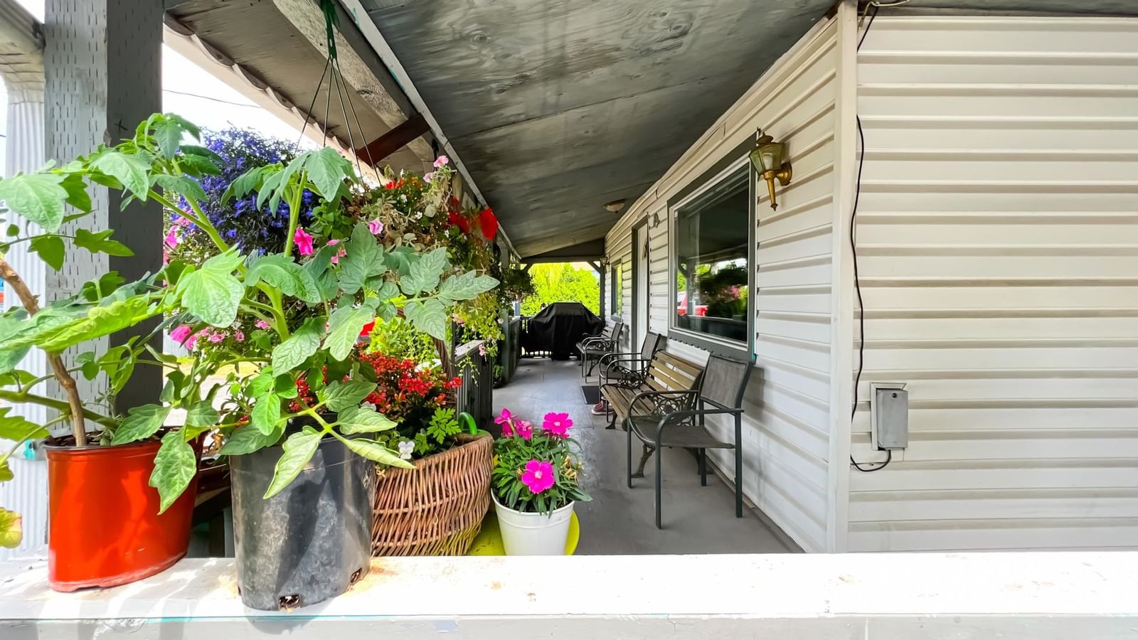Listing Image 23