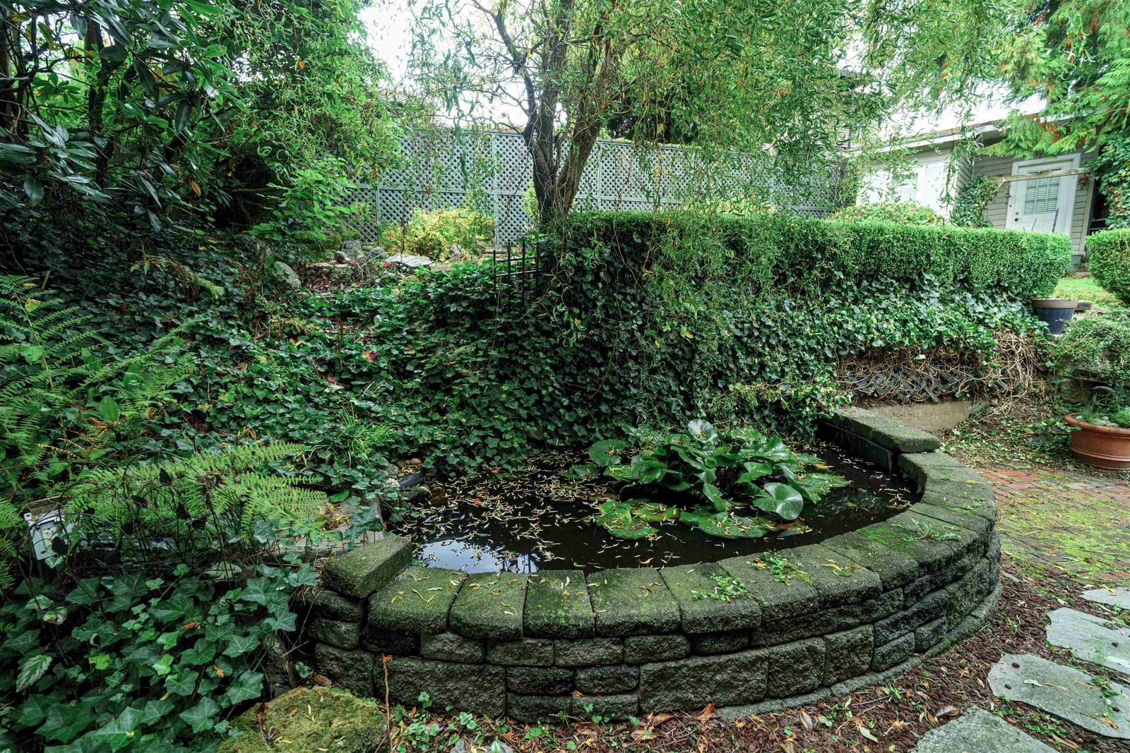 Listing Image 19