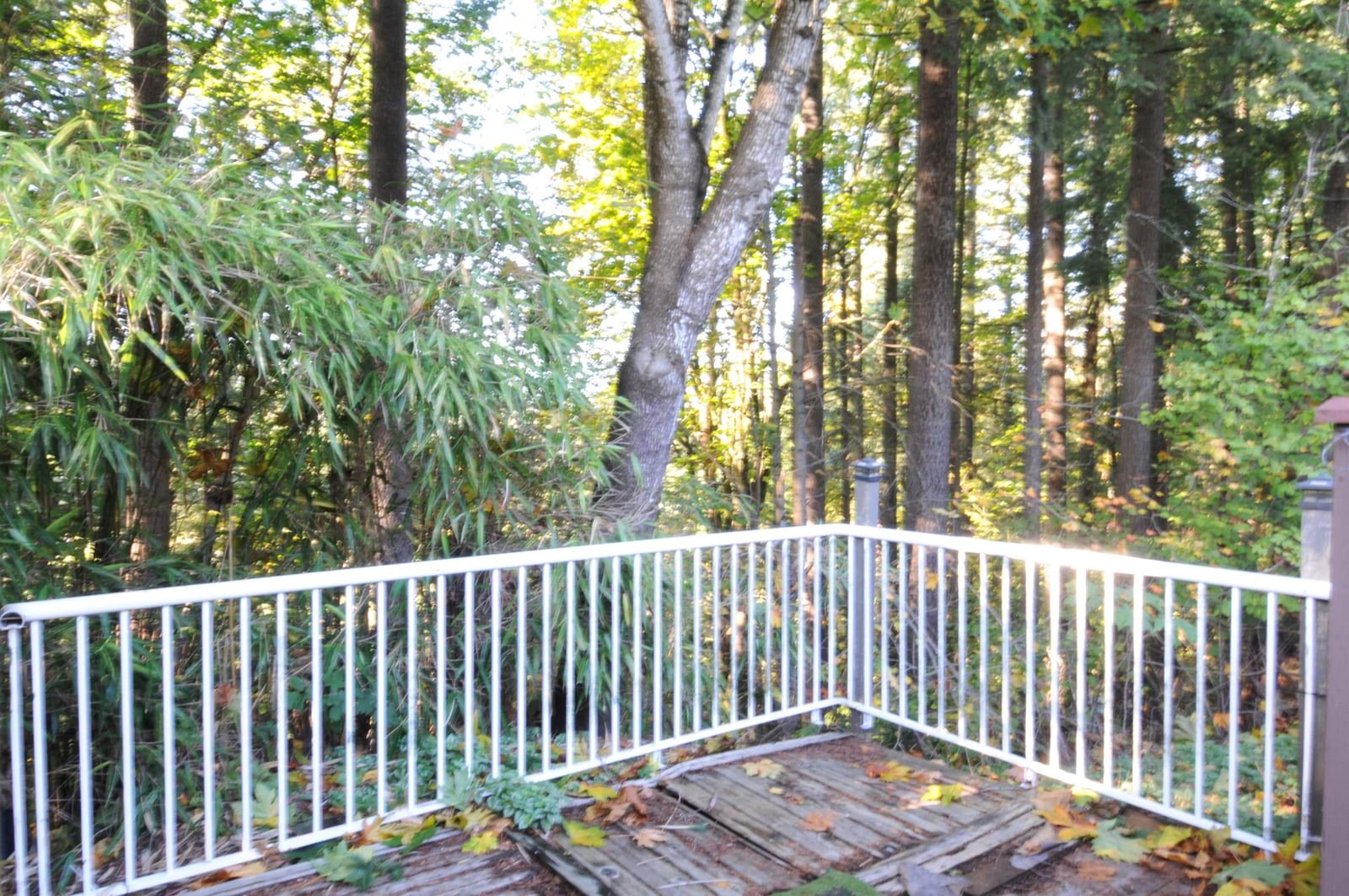 Listing Image 28
