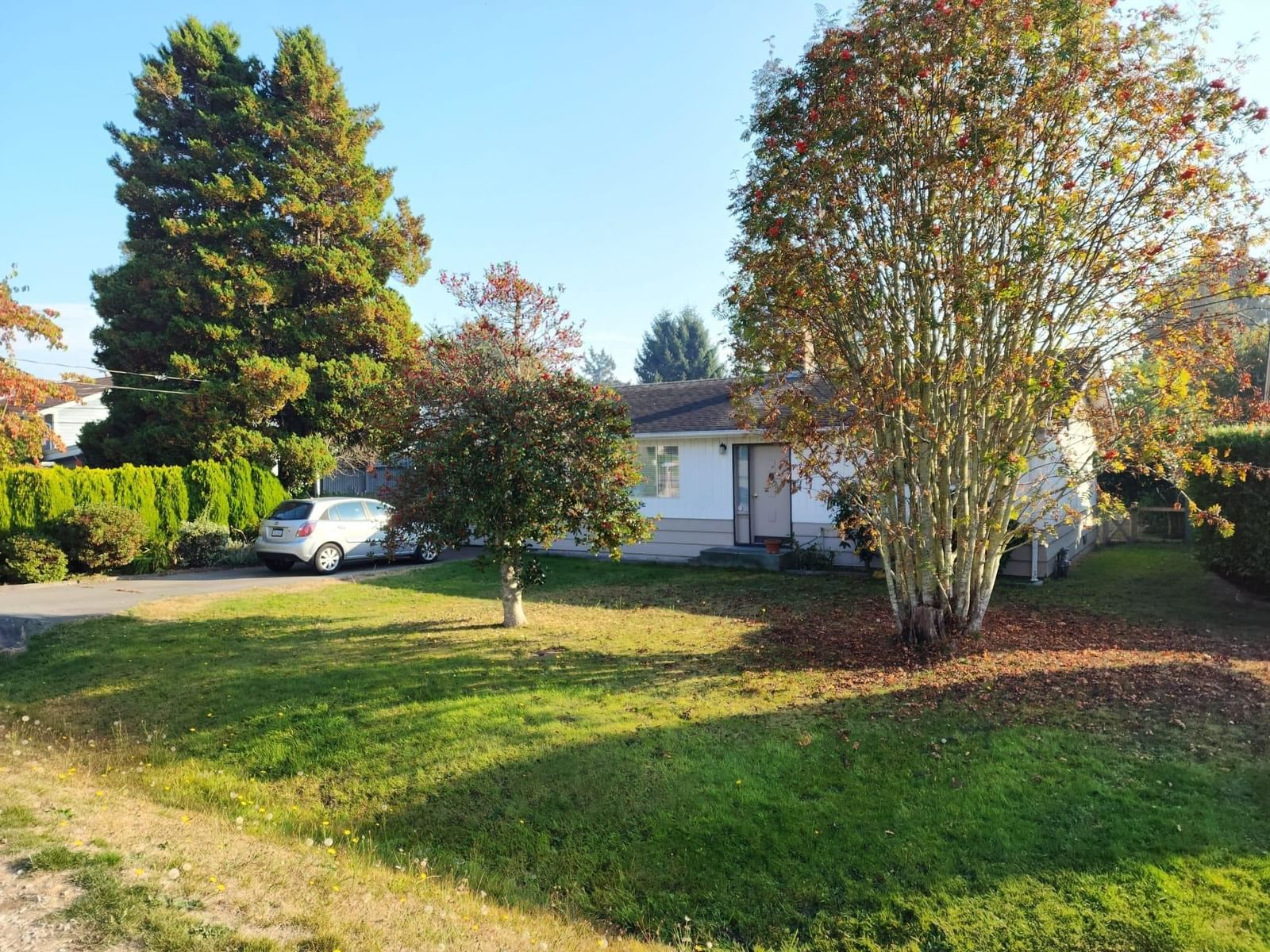 Listing Image 1