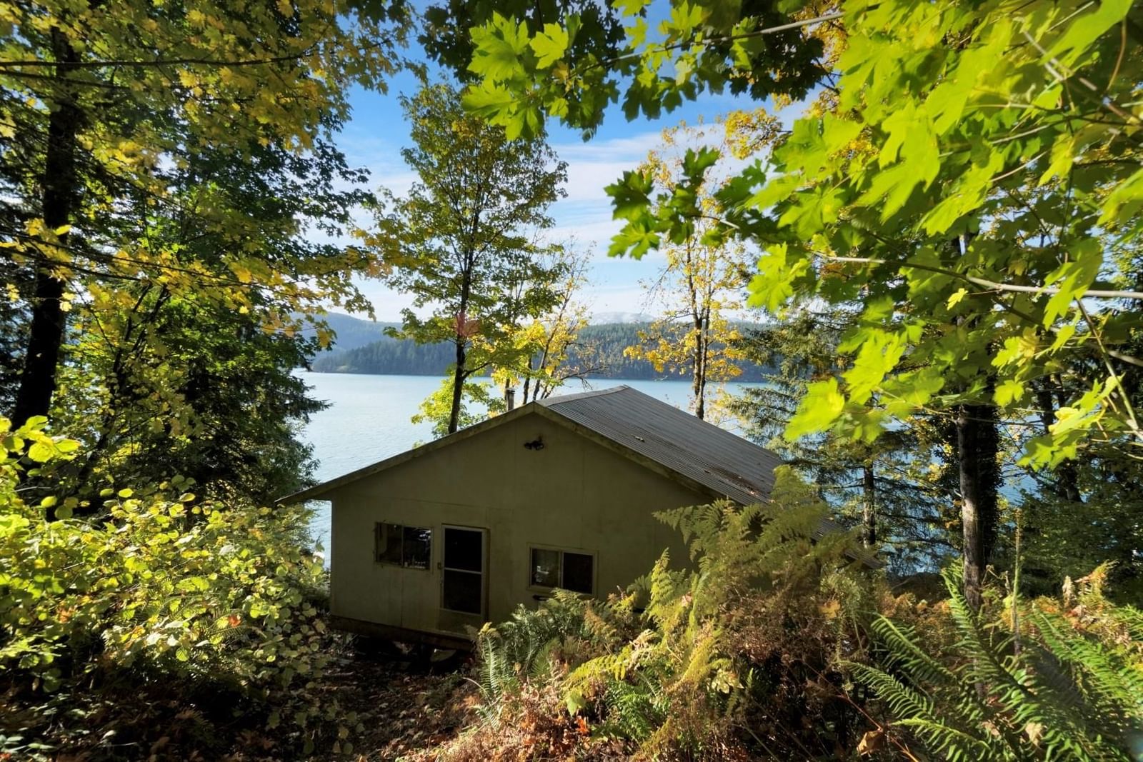 Listing Image 10