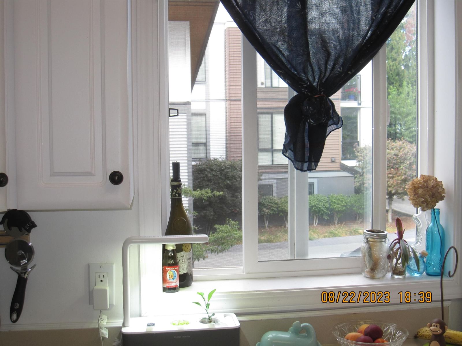 Listing Image 10