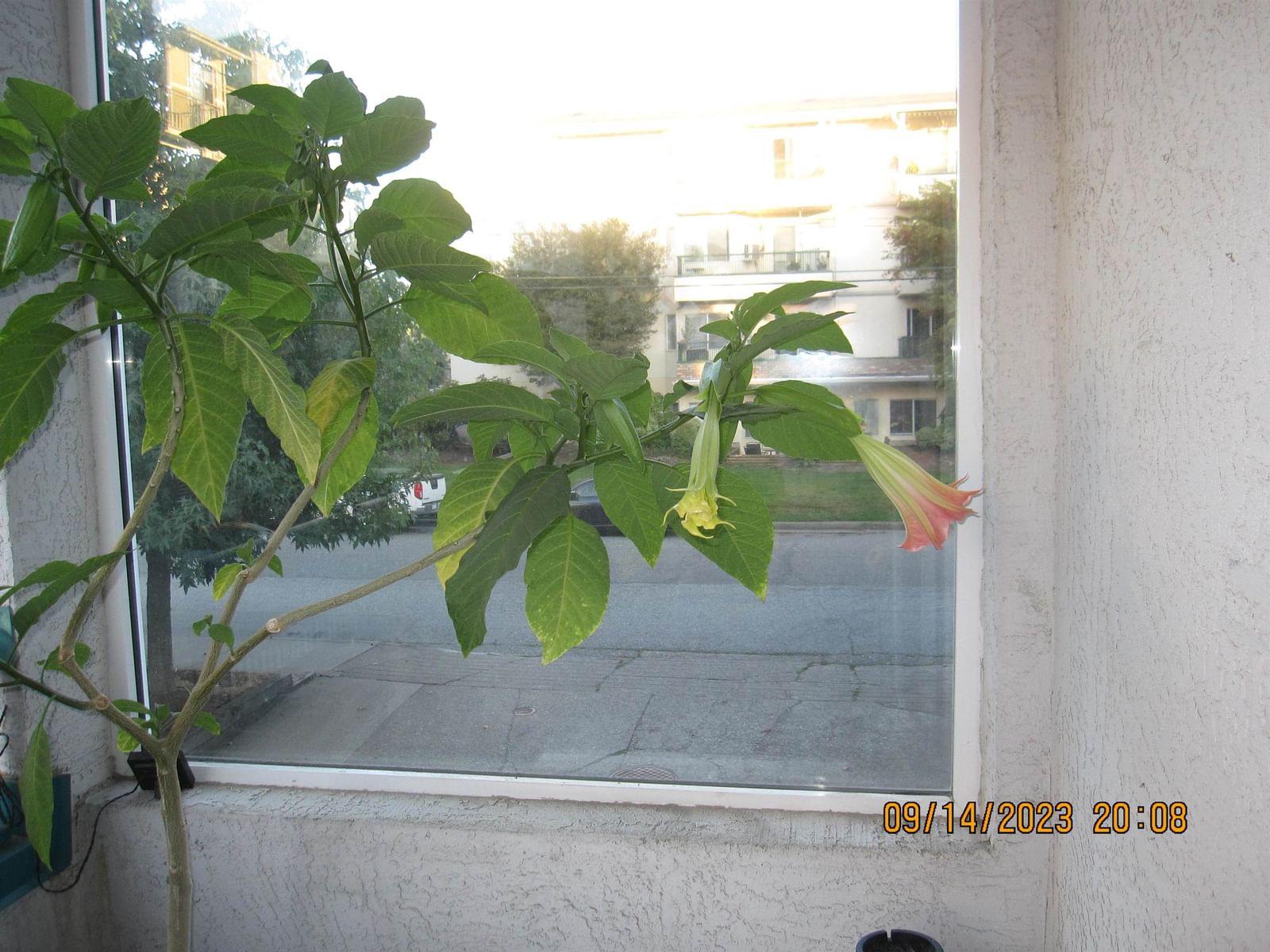 Listing Image 4