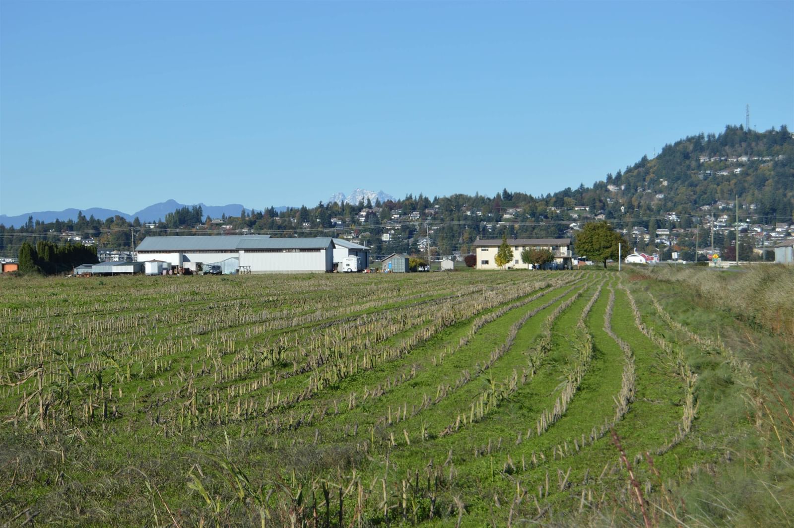 Listing Image 26