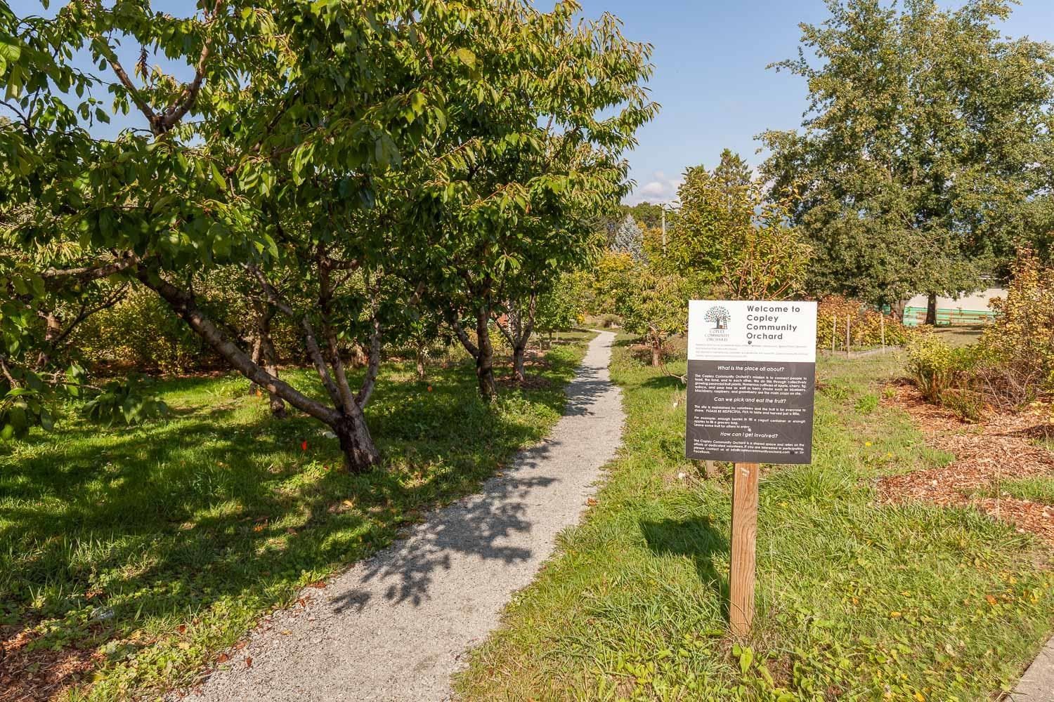 Listing Image 11