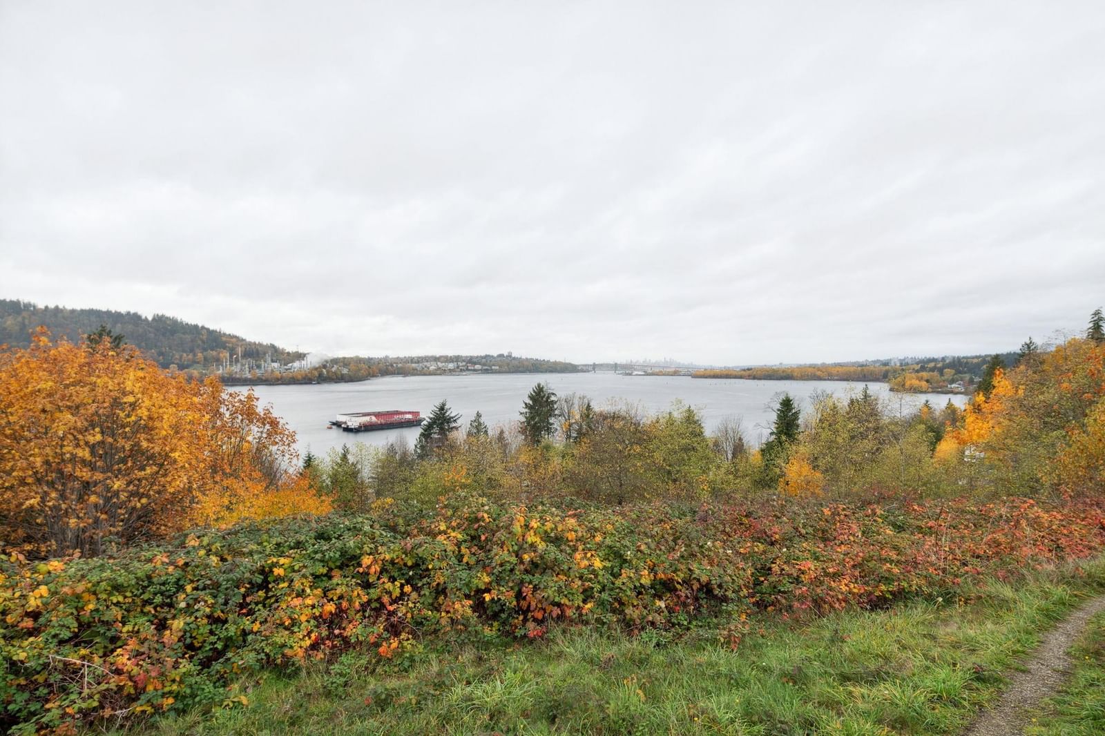 Listing Image 29