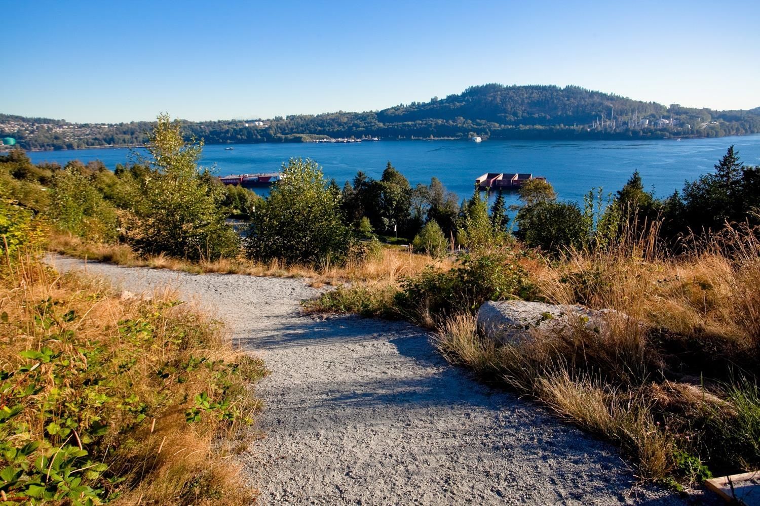 Listing Image 29