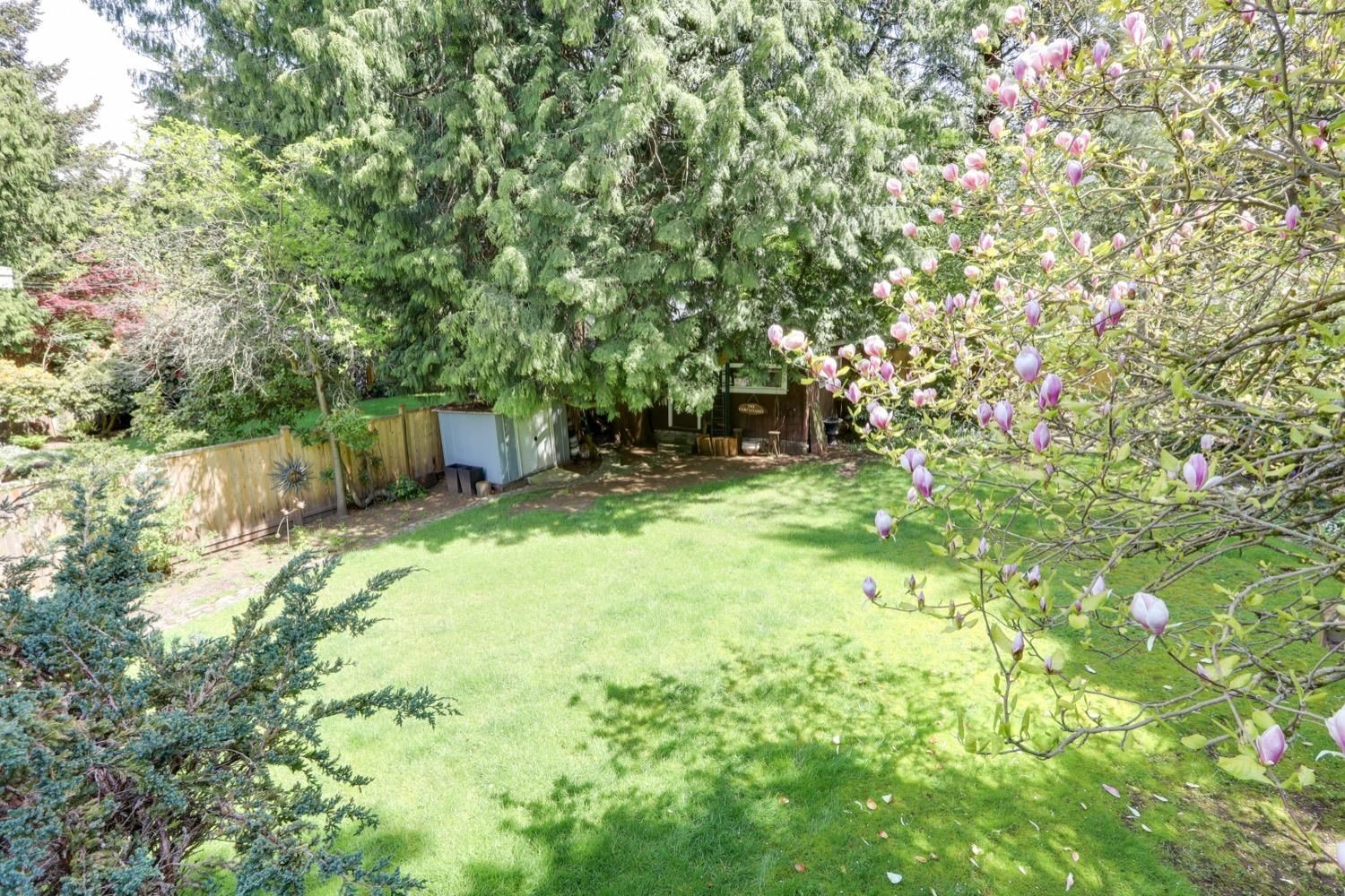 Listing Image 37