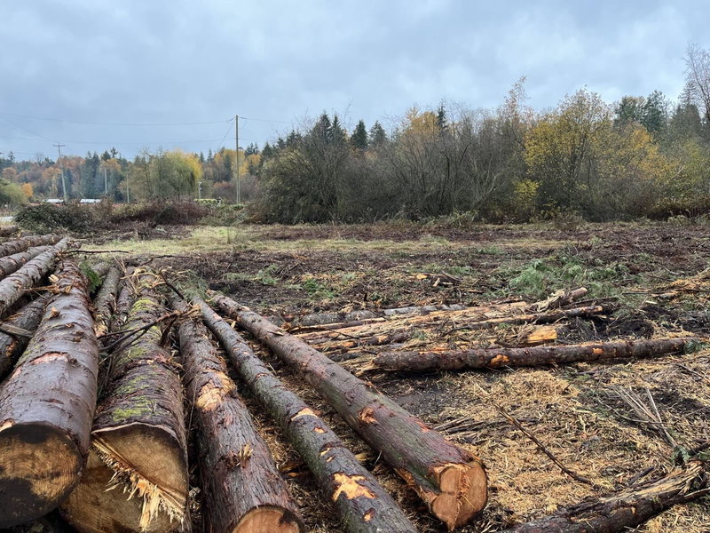 8295 264 Street, Langley, V1M 3M2 | Image 3